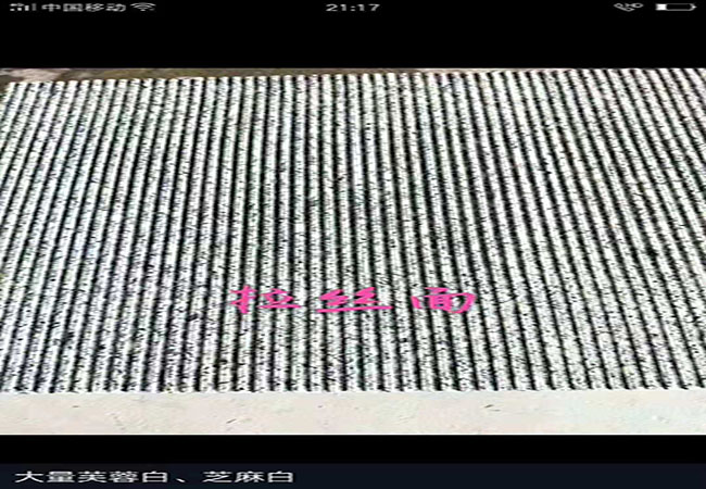 求购芝麻白石材报价单(图5) 求购芝麻白石材报价单(图5)