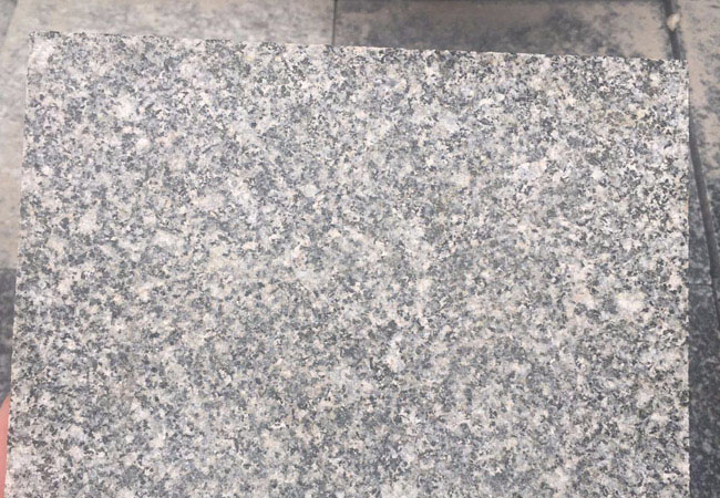临沭芝麻黑厂家(图1) 临沭芝麻黑厂家(图1)